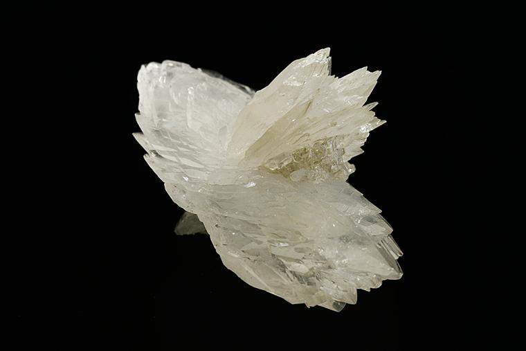 COLEMANITE